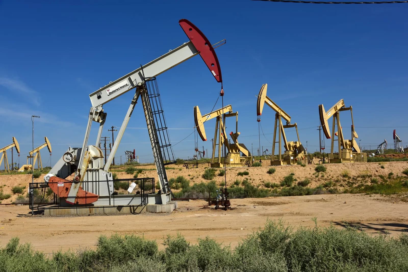 oil